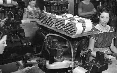 She Built This Bay: Women Who Shaped Tampa Bay